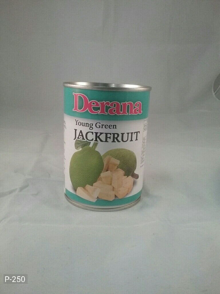 Young Green Jack Fruit