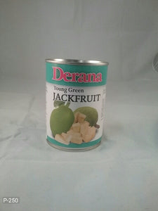 Young Green Jack Fruit