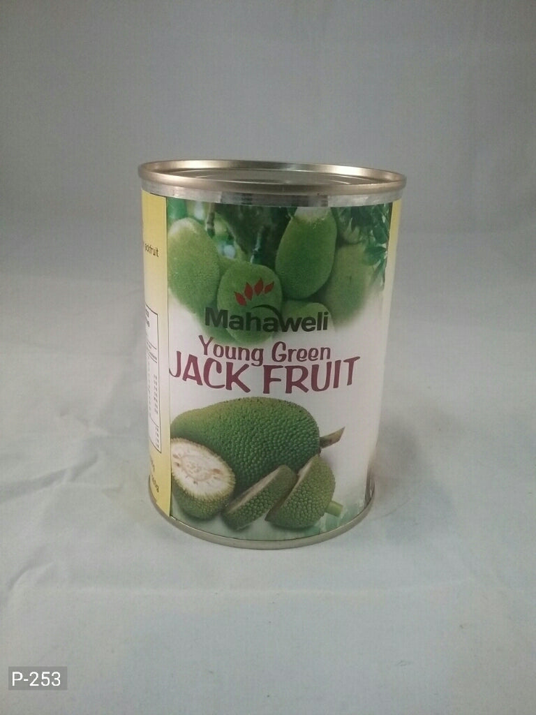 Young Green Jack Fruit