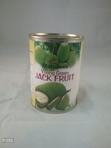 Young Green Jack Fruit